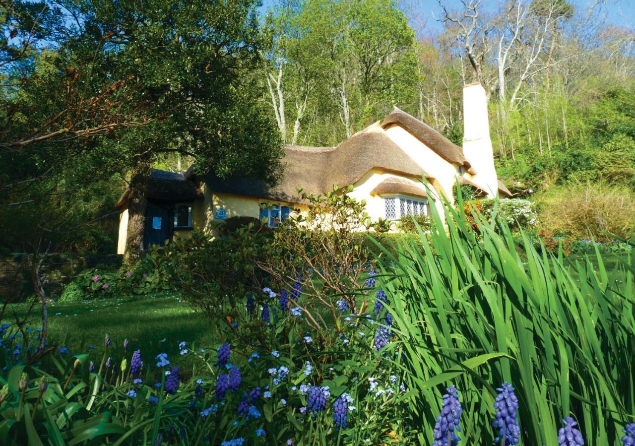 Southcliffe B&B Lynton Bagian luar foto